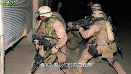 广军爆料白鲨视频,揭秘背后惊人真相 第3张 广军爆料白鲨视频,揭秘背后惊人真相 第3张