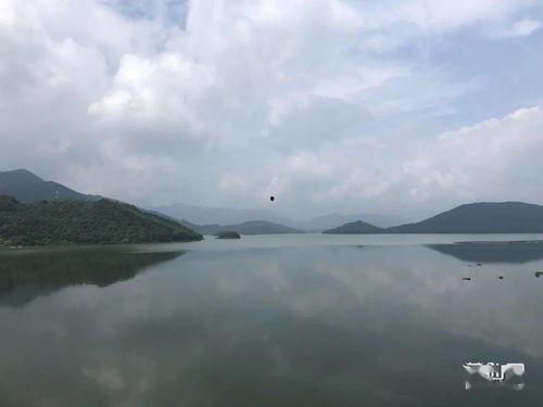 莆田水库爆料最新消息,最新爆料揭示惊人真相!” 第3张 莆田水库爆料最新消息,最新爆料揭示惊人真相!” 第3张