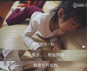 郑恺被妈妈爆料了吗视频,揭秘明星家庭温馨瞬间